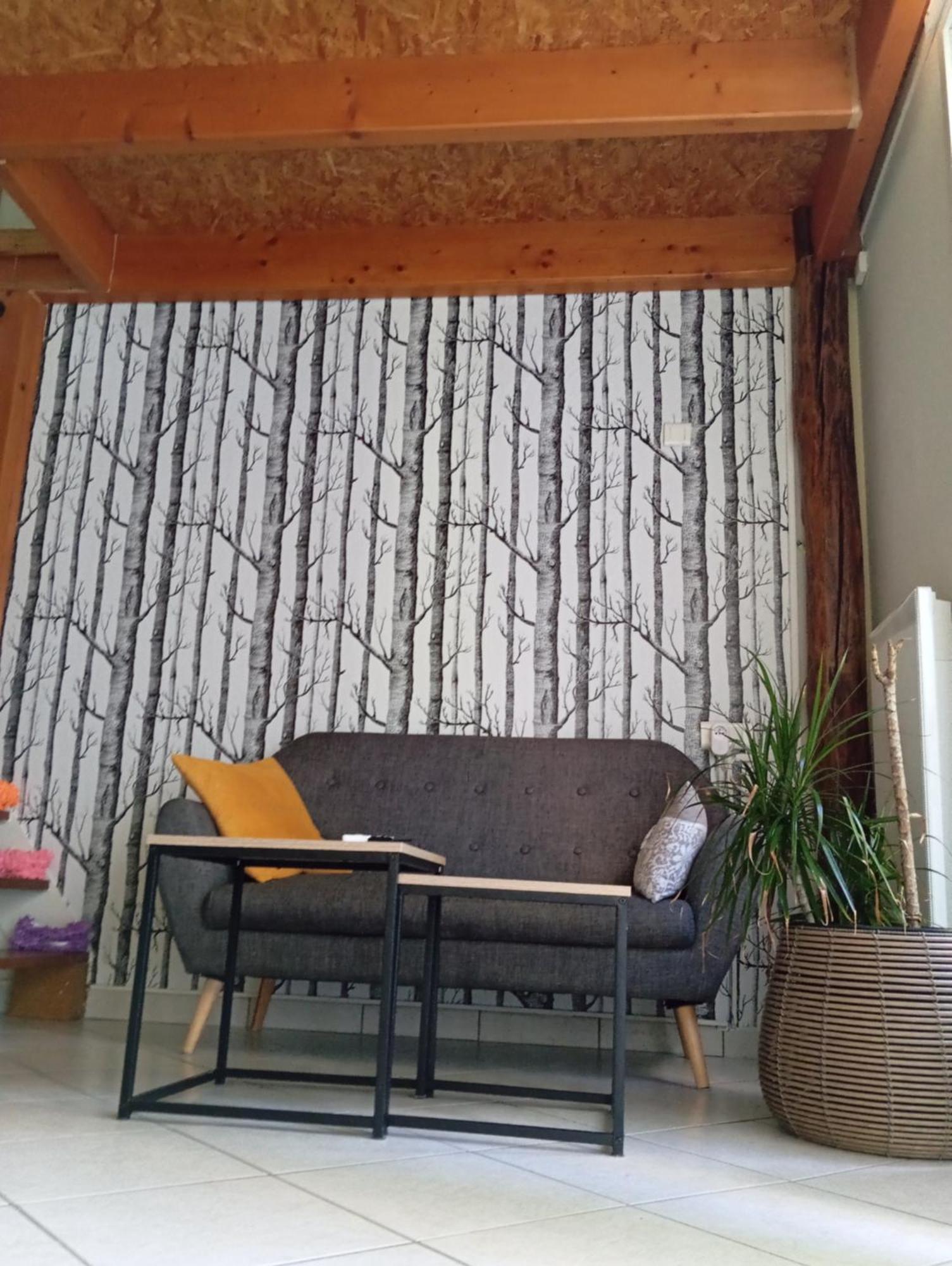 Appartement Chasseneuil Futuroscope エクステリア 写真